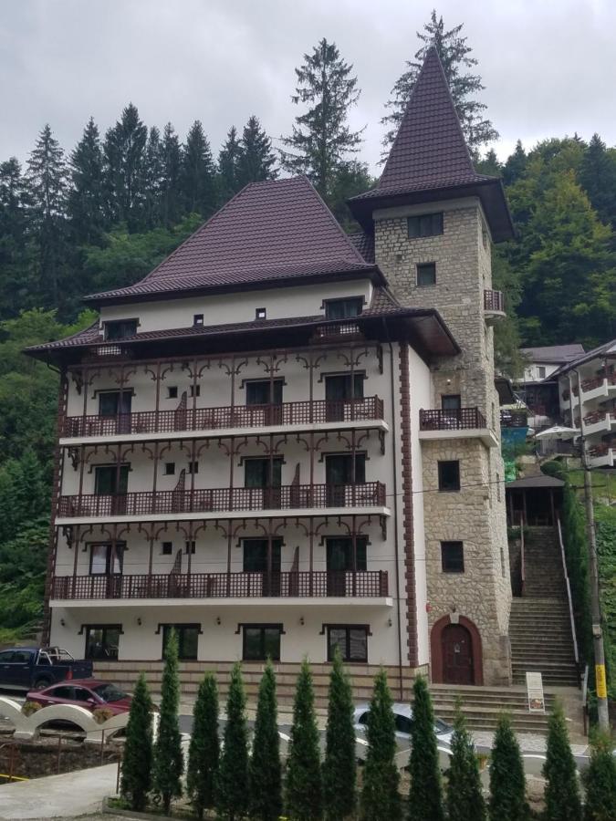 Pensiunea Steinhaus Slănic-Moldova Εξωτερικό φωτογραφία